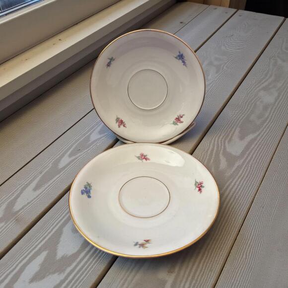 Other - Johann Seltmann Saucer Set 2 Bavaria Floral Gold Rim Porcelain Made Germany